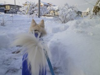 130213-1.jpg