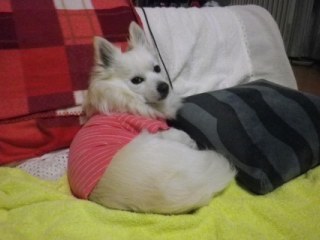 130216-3.jpg