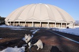 130223-k5.jpeg