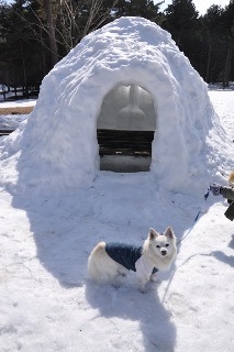 130302-k2.jpeg