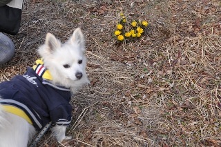 130302-k6.jpeg