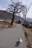 130303-k3.jpeg