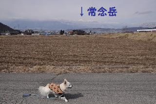 130303-k4.jpeg