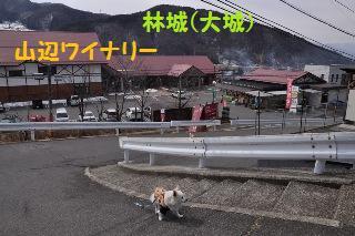 130303-k5.jpeg