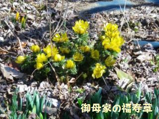 130311-2.jpg