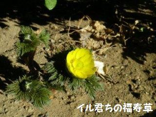 130311-5.jpg