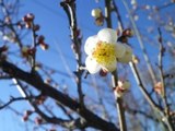 130315-2.jpg