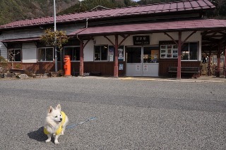 130316-k13.jpeg