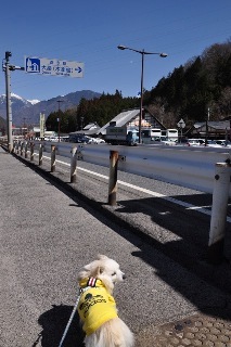 130316-k5.jpeg
