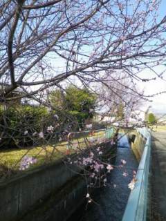 130319-1.jpg