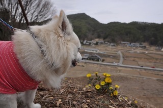 130320-k6.jpeg