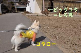 130324-k12.jpeg