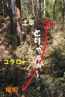 130324-k8.jpeg