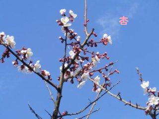 130325-5.jpg