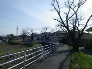 130404-7.jpg