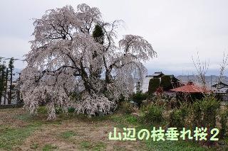 130406-k12.jpeg
