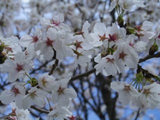 130412-6.jpg