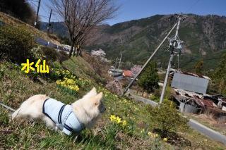 130413-k2.jpeg