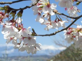 130415-1.jpg