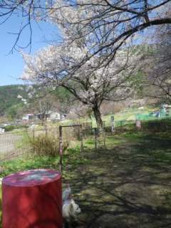 130415-2.jpg