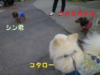 130423-2.jpg