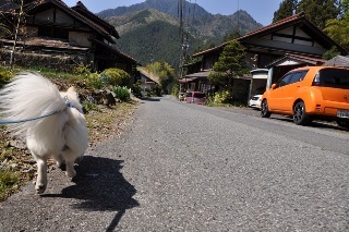 130428-k2.jpeg