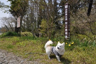 130429-k1.jpeg