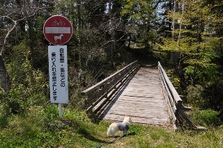 130429-k9.jpeg