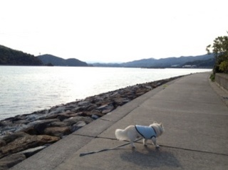 130504-ki1.jpg