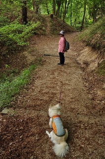 130519-k25.jpeg