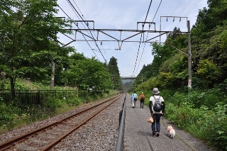 130602-k5.jpeg