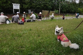 130602-k7.jpeg