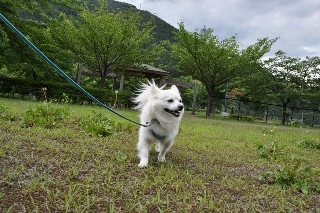 130623-k3.jpeg