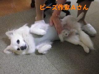 130703-2.jpg
