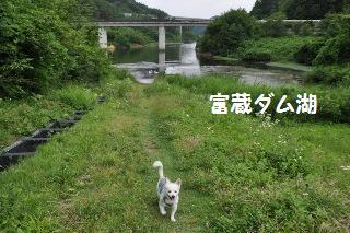 130728-k1.jpeg