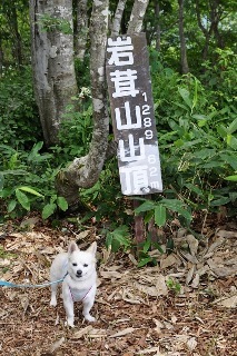 130803-k12.jpeg