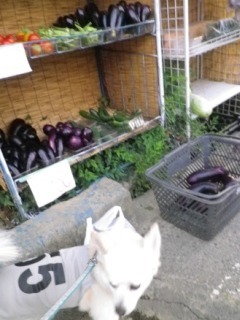 130817-1.jpg