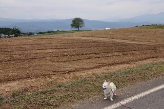 130922-k5.jpeg