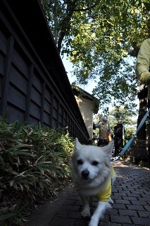 131014-k10.jpeg