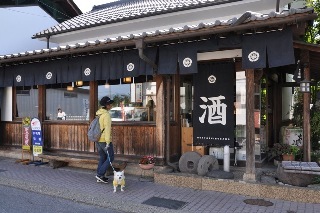 131014-k9.jpeg