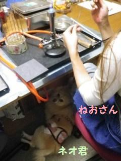 131021-1.jpg