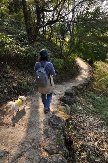131102-k35.jpeg