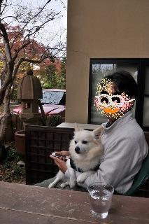 131103-k1.jpeg