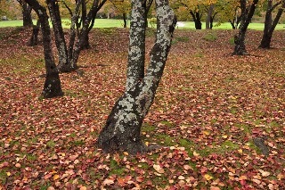 131103-k2.jpeg