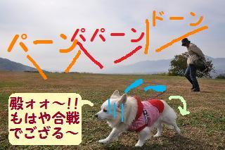 131109-k4.jpeg