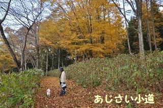 131117-k13.jpeg