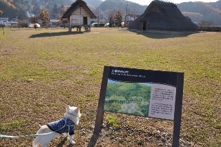 131123-k18.jpeg