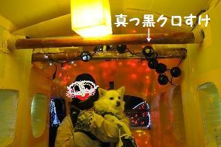 131123-k25.jpeg