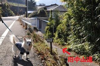 131123-k4.jpeg