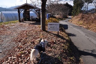 131208-k11.jpeg